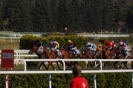 horces-racing-in-horce-race